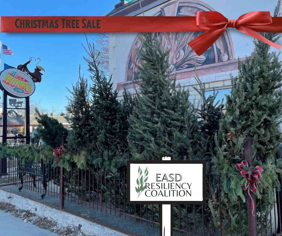Celebrate Resiliency Christmas Tree Sale Image