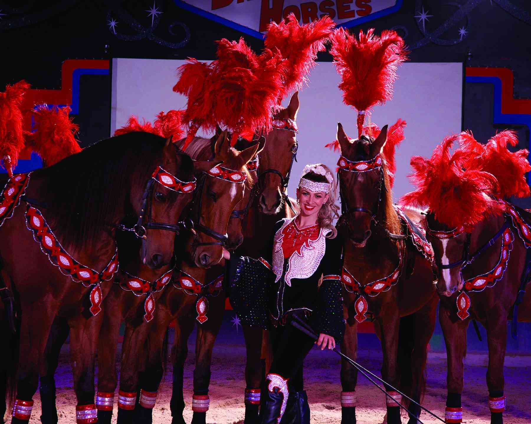 Dancing Horses Holiday Show Image