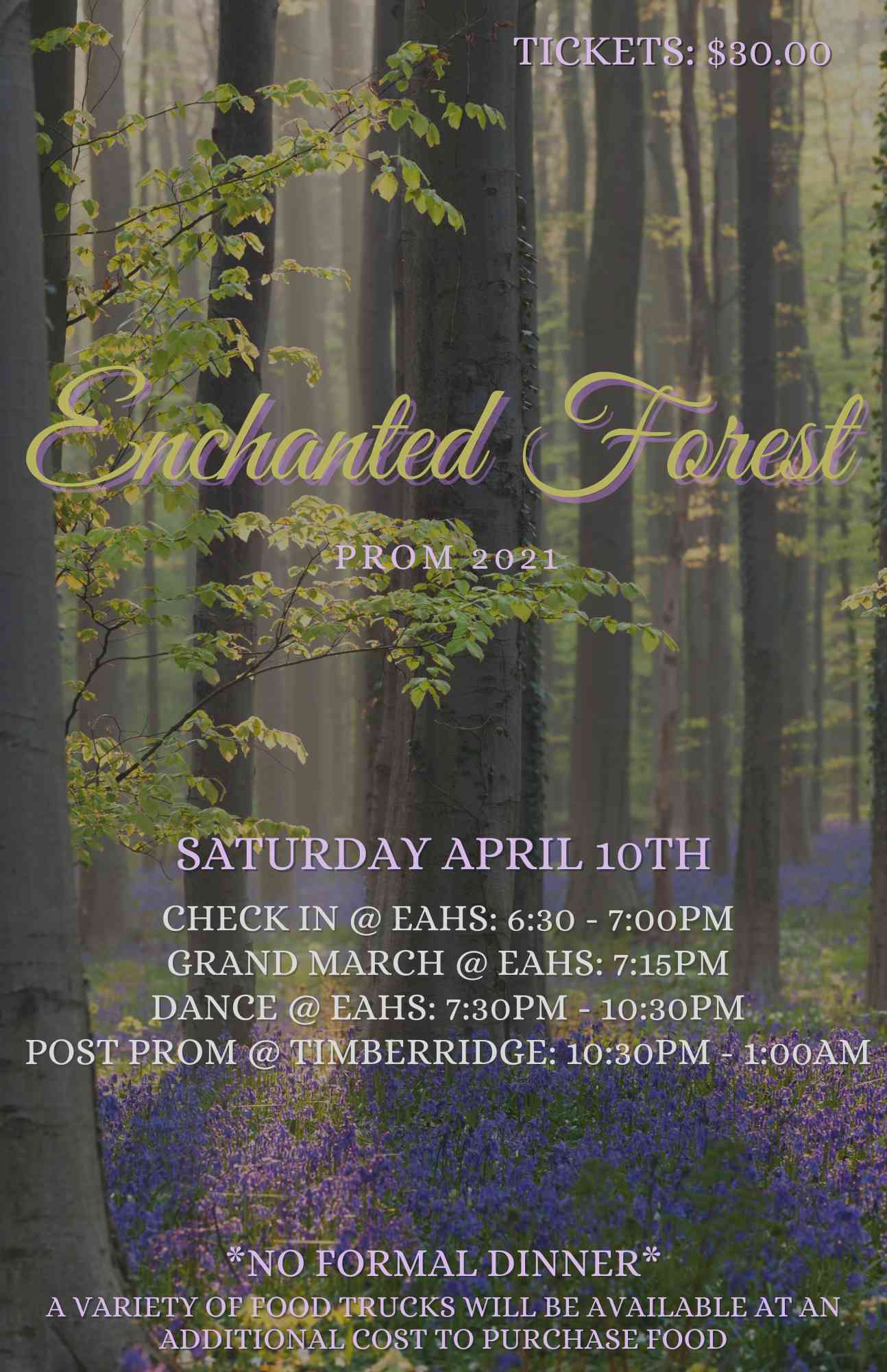 Prom 2021- Enchanted Forest Image