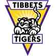 Tibbets Elementary School Image