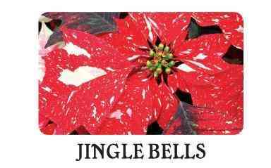 Jingle Bell (Small) Image