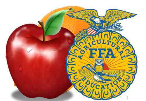 2019 FFA Fruit Sale Image