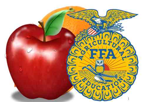 FFA Fruit Sale Image