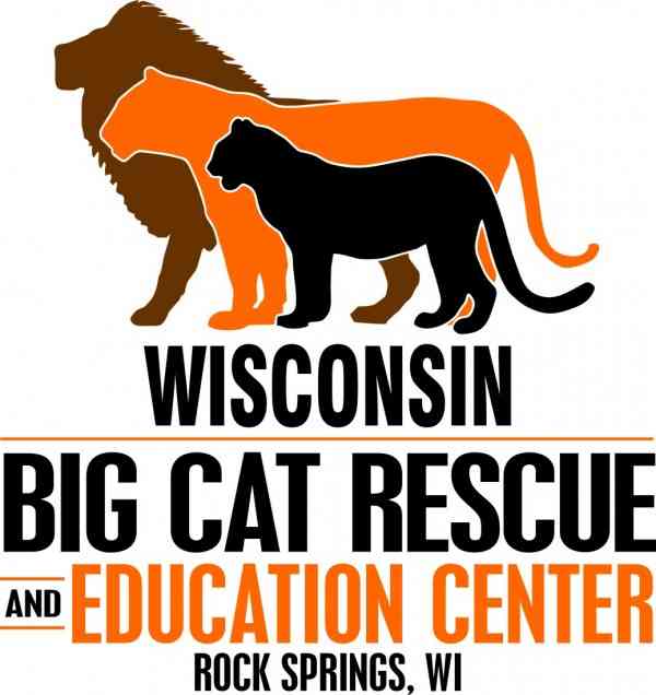 Big Cat Rescue of Wisconsin Intermediate School Fundraiser Image
