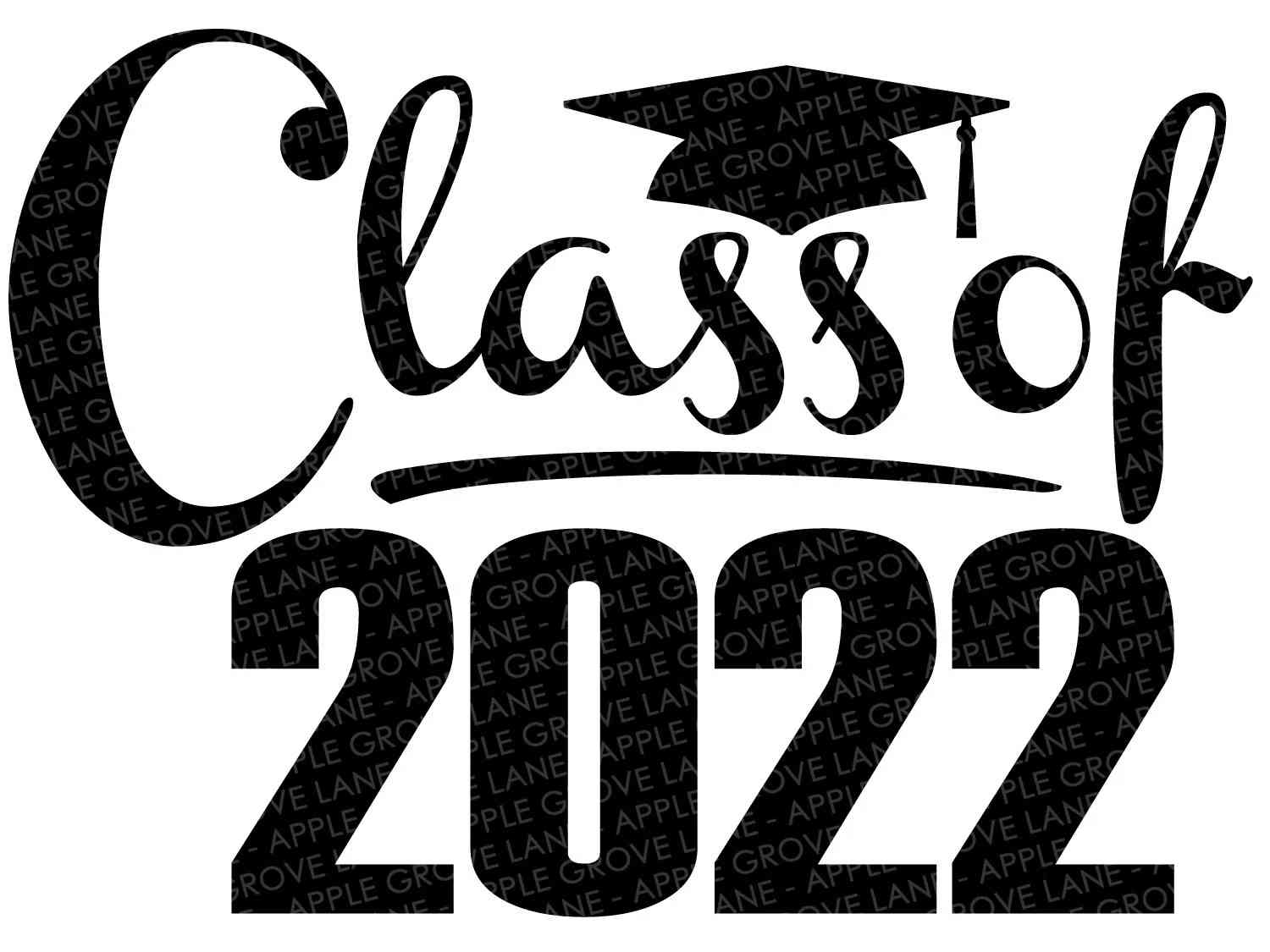 Project Graduation 2022 Image